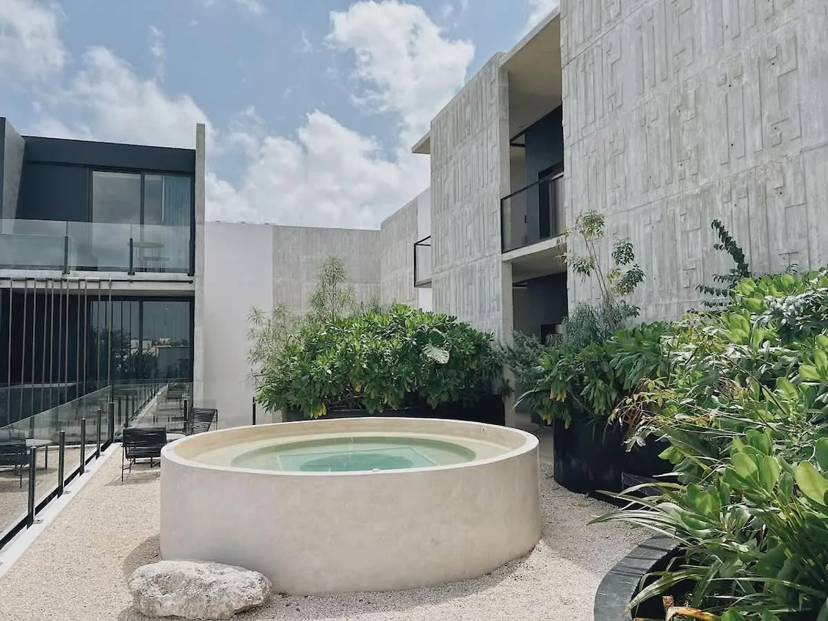 Gym And King Size Bed Main Street Apartment Tulum Mexico