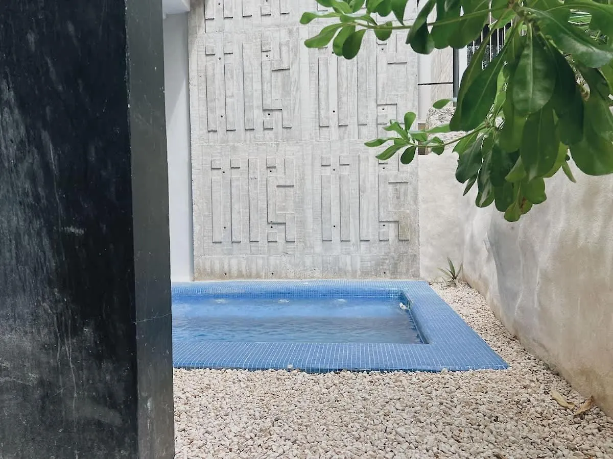 Gym And King Size Bed Main Street Apartment Tulum Mexico