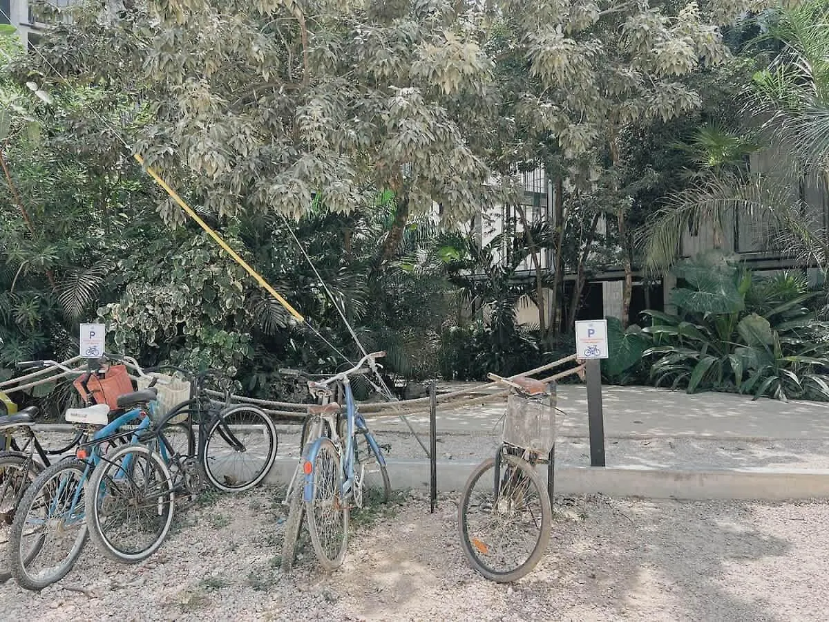 Gym And King Size Bed Main Street Apartment Tulum