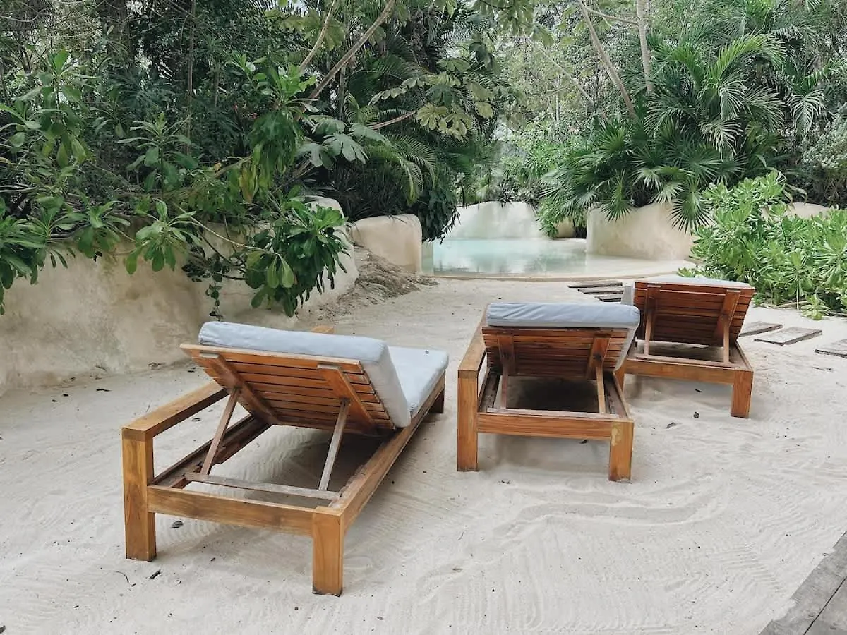 Gym And King Size Bed Main Street Appartement Tulum Pueblo Mexico