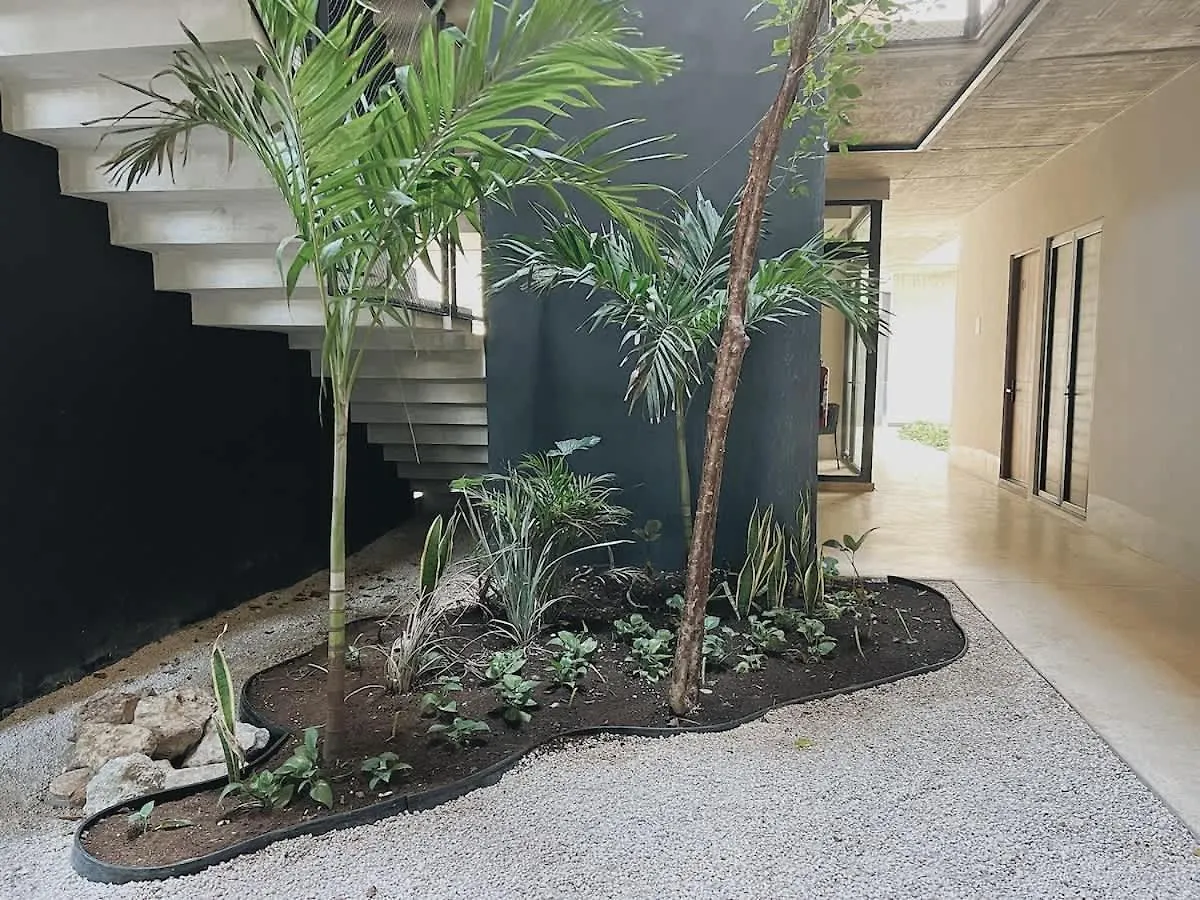 Gym And King Size Bed Main Street Appartement Tulum Pueblo 0*,  Mexico